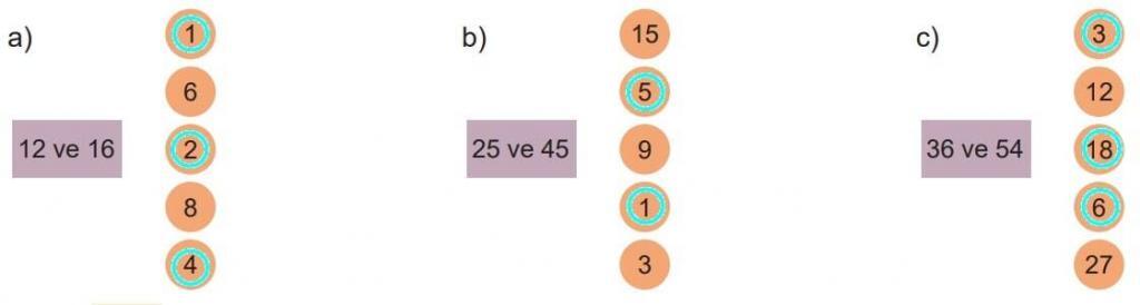 6.Sınıf Matematik Kitabı Sayfa 56 Cevap 1