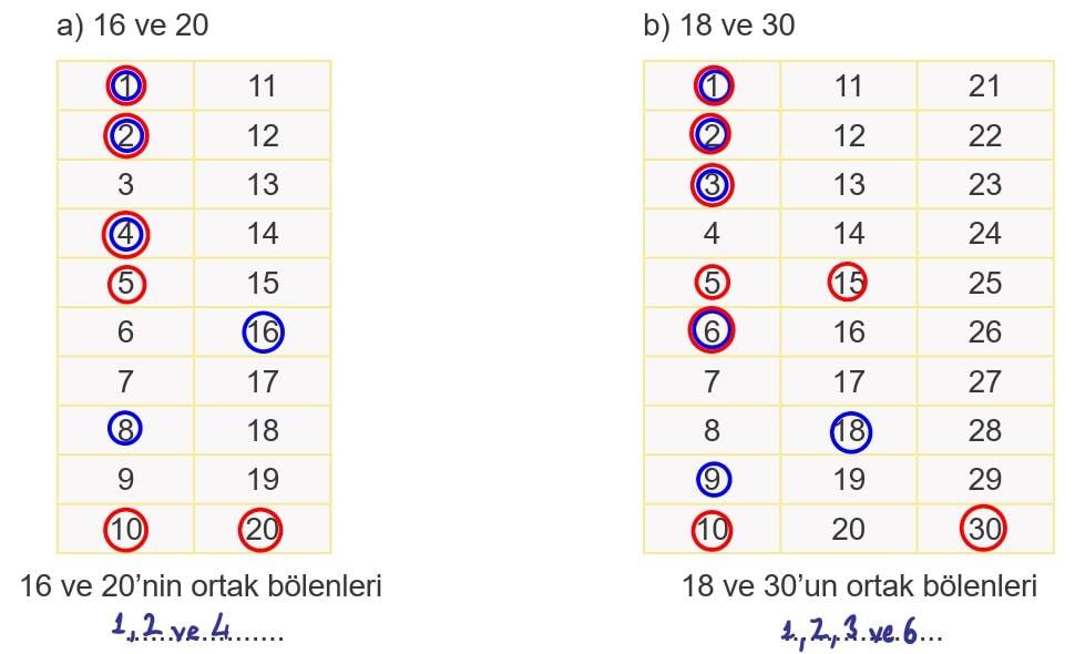 6.Sınıf Matematik Kitabı Sayfa 53 Cevapları Örnek 1