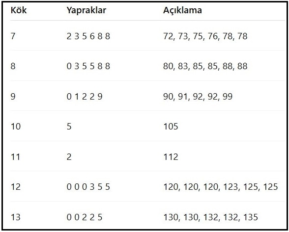 kök-yaprak gösterimi etkinliği sayfa 81