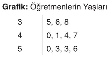 kök yaprak grafiği