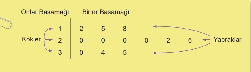 6.Sınıf Matematik ders kitabı sayfa 80 kök-yaprak gösterimi